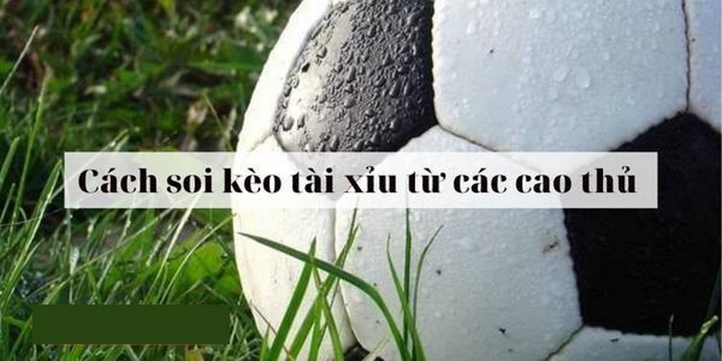 bat-mi-bi-kip-chinh-phuc-keo-tai-xiu